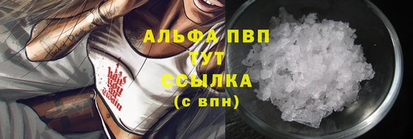 прущие грибы Арсеньев
